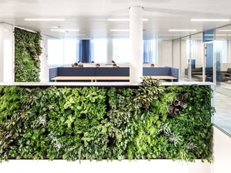 Interior Plant Design Tampa - Green Wall