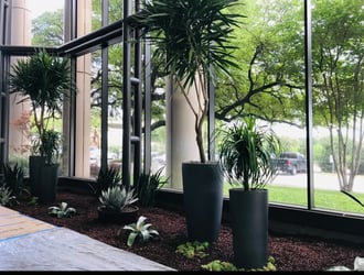 Interior Plant Design Sarasota - Resort Lobby