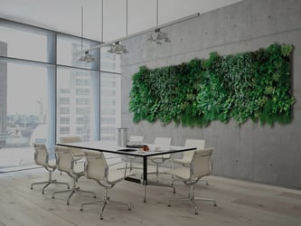 Interior Plant Design Corpus Christi - Green Wal