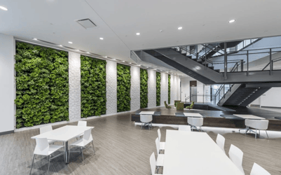 Interior Plant Design San Antonio - Green Wall