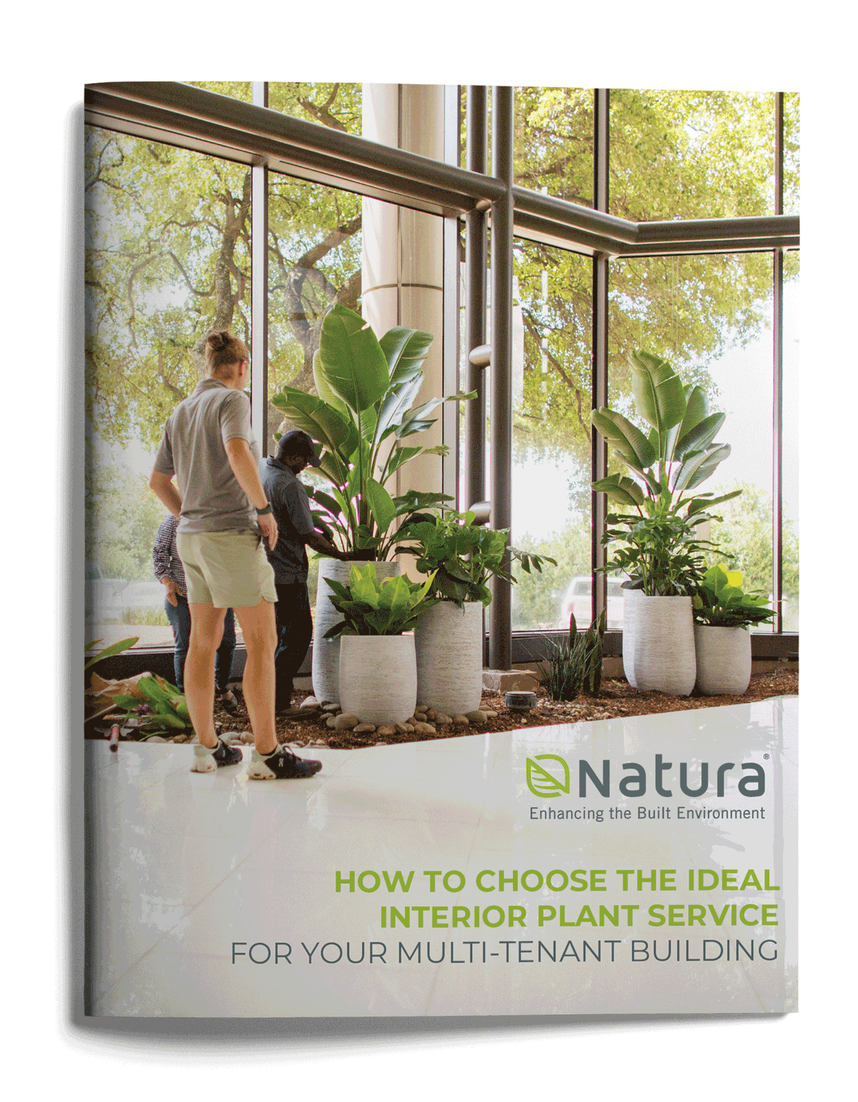 Choose the ideal interior plant service for your multi-tenant building