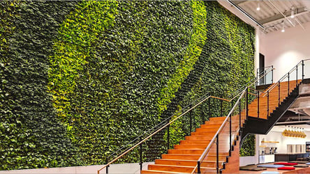 Interior Plant Design Dallas - Green Wall