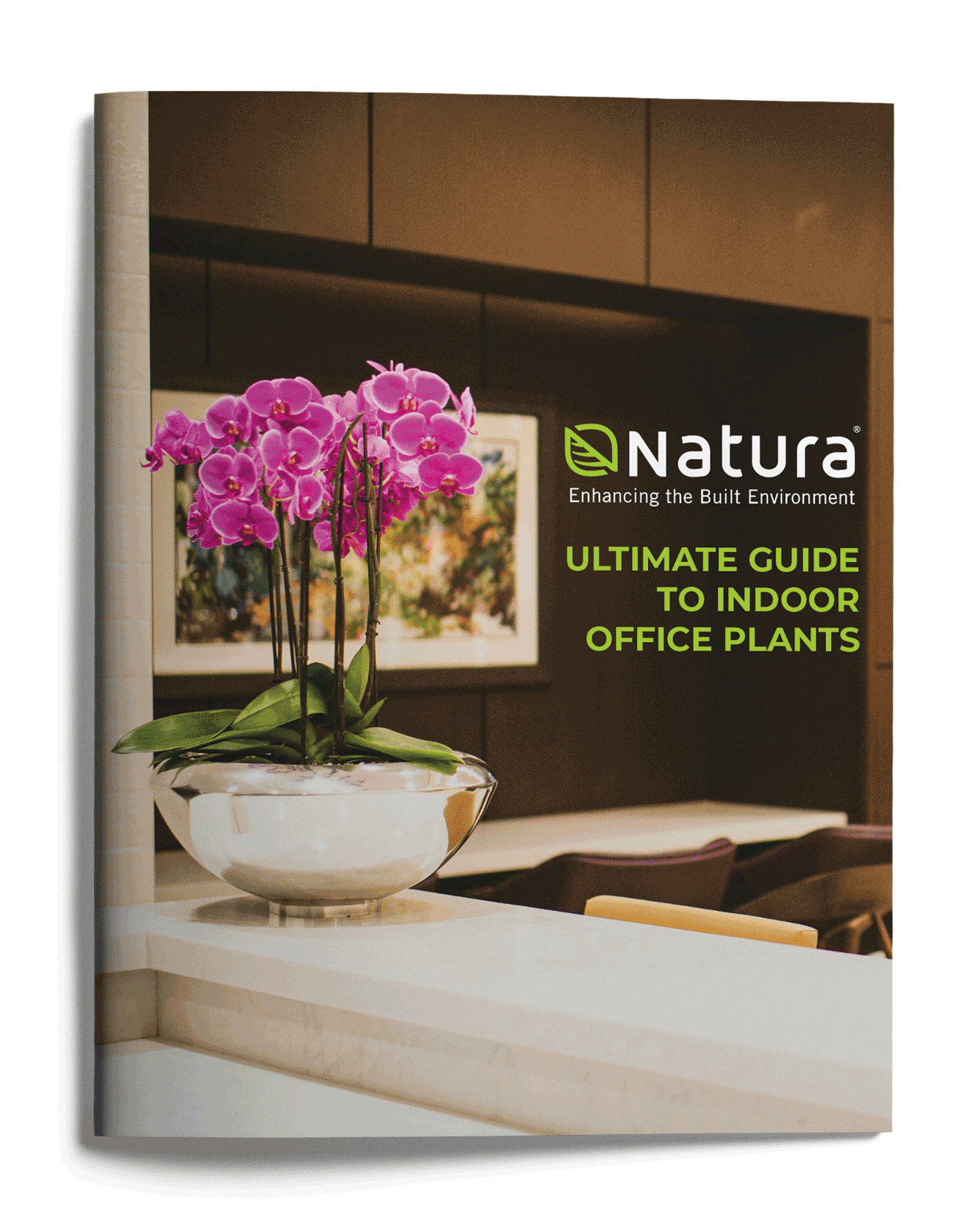 Natura-Ultimate-Guide-to-Indoor-Office-Plants