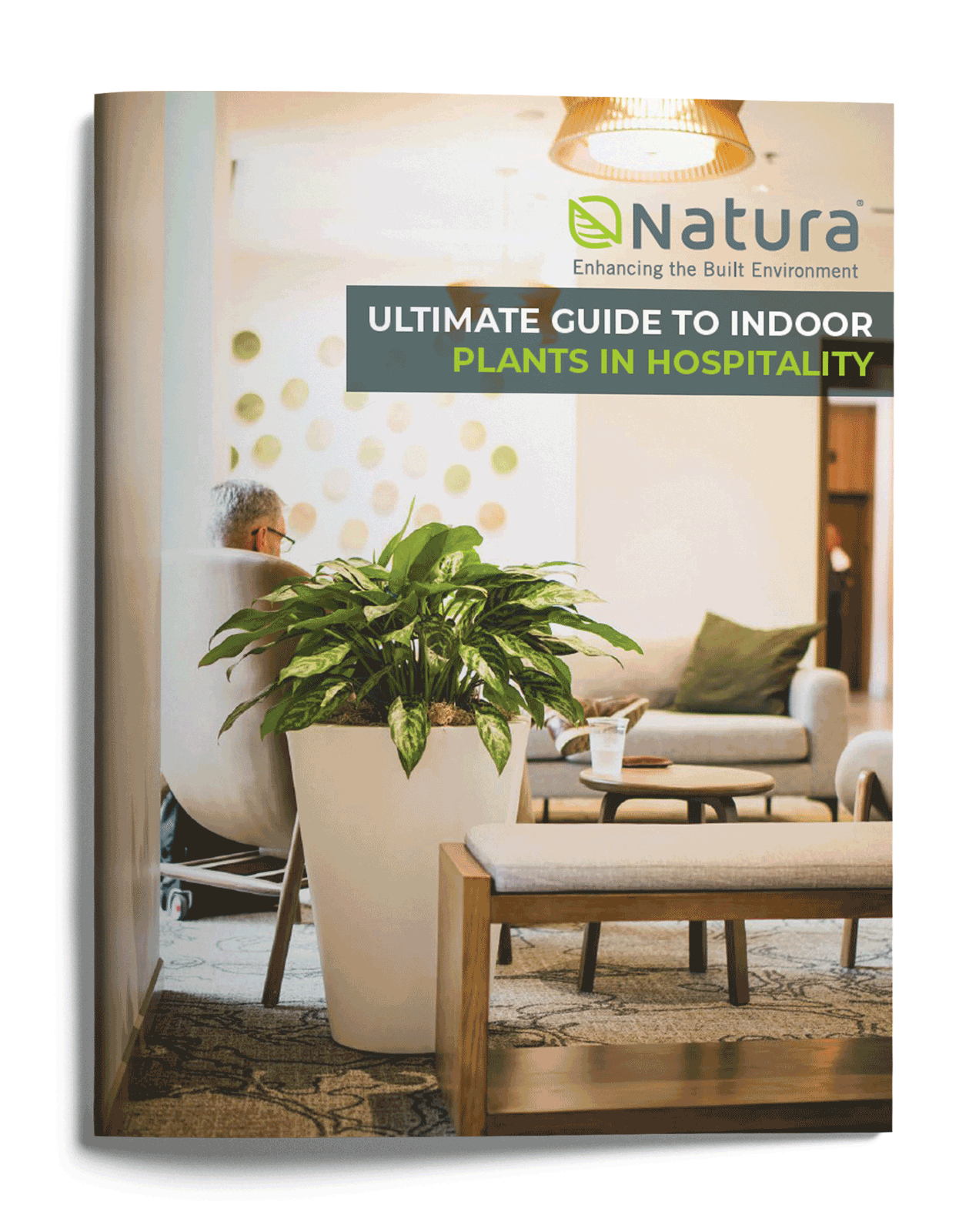 Natura-Ultimate-Guide-to-Indoor-Plants-In-Hospitality