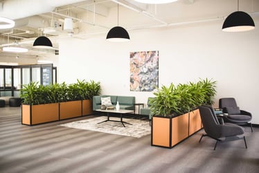 Interior Plant Design San Antonio - Office