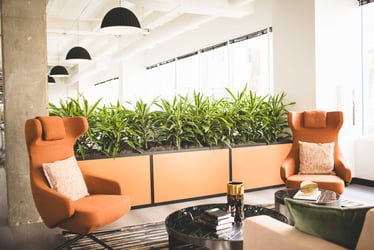 Interior Plant Design Tampa - Office Interior