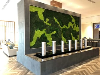 Interior Plant Design Dallas - Moss Wall