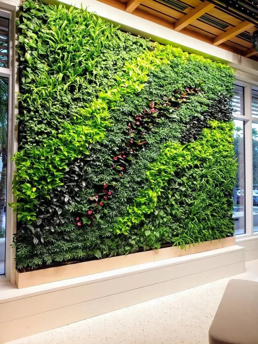 Small Plant wall