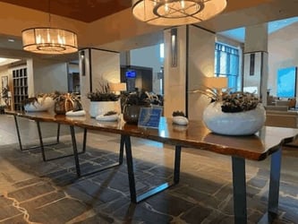 Interior Plant Design Houston - Hotel Lobby