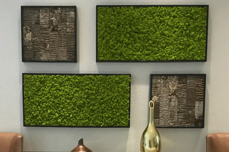 Moss_Art-Modular_Frames-1