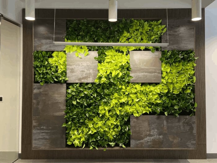 Smaller Image Brookfield_Properties-Dallas-Green_Living_Wall-NaturaHQ-02